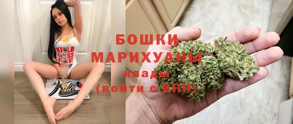 МДПВ Козловка