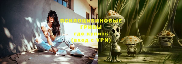 твердый Корсаков