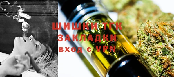 твердый Корсаков
