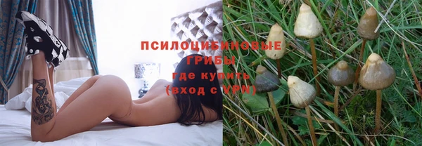 меф Коряжма