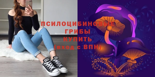 меф Коряжма