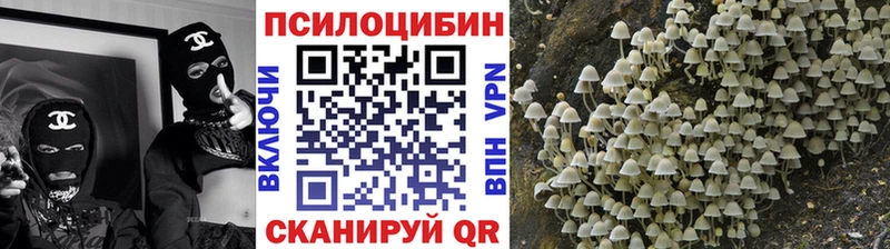 Псилоцибиновые грибы мицелий  Краснозаводск 